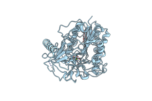 1E33 image