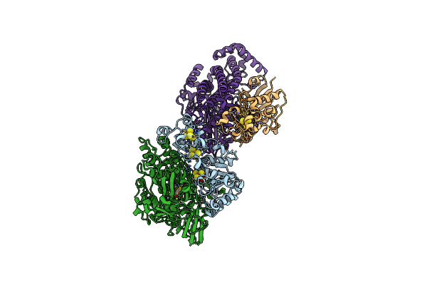 1E3D image
