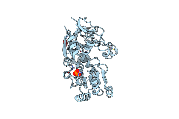 1E3J image