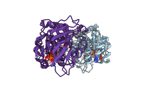 1E3L image