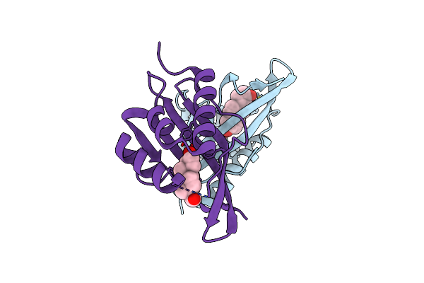 1E3R image