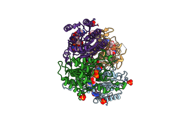 1E3W image