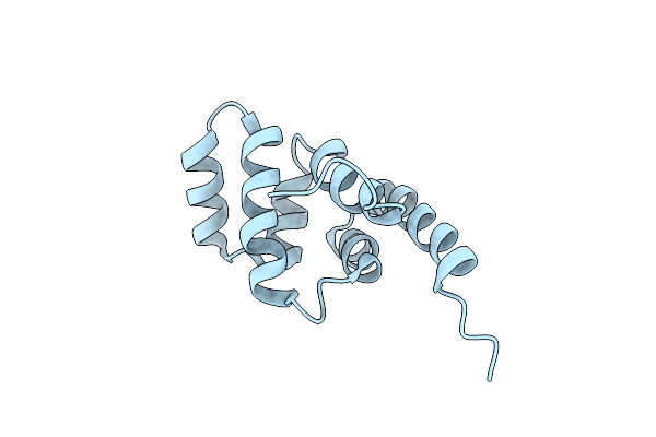 1E3Y image