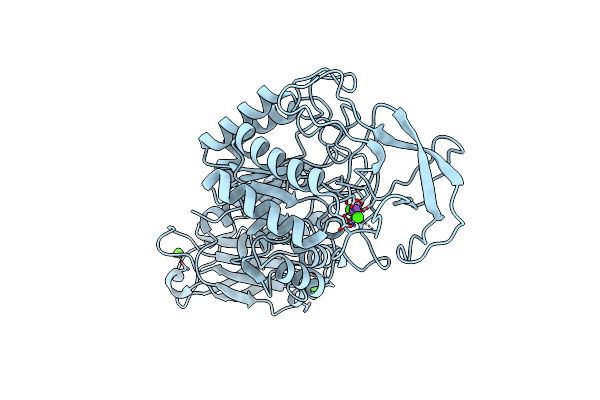 1E3Z image