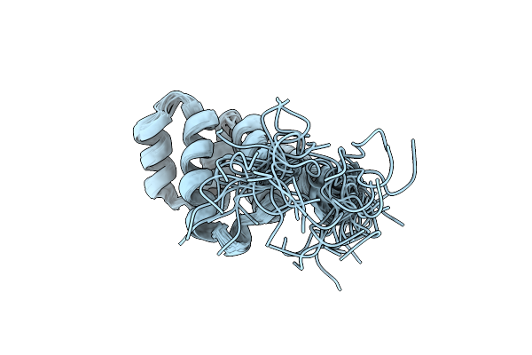 1E41 image