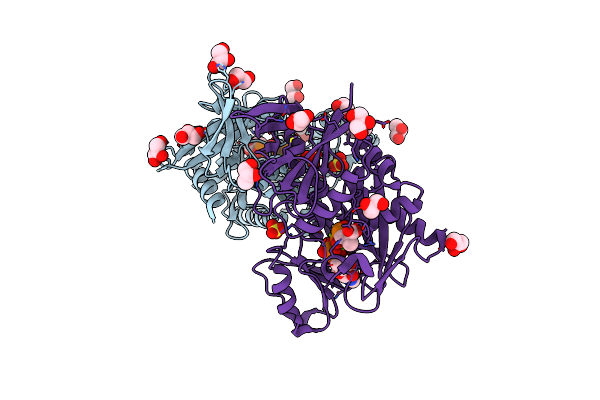 1E4E image
