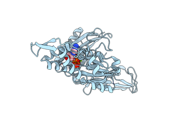 1E4G image