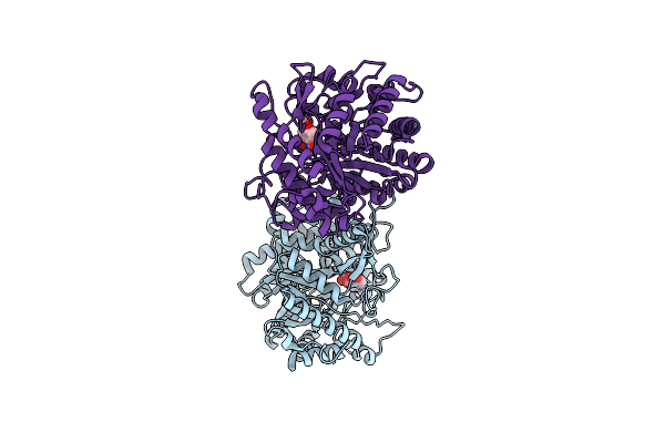 1E4N image