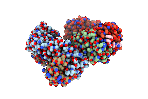 1E4X image
