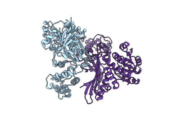 1E5L image