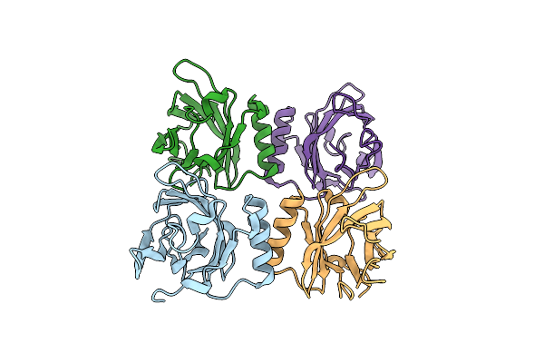 1E5P image