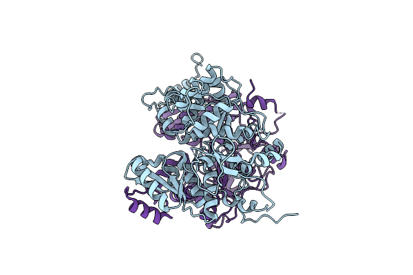 1E5X image