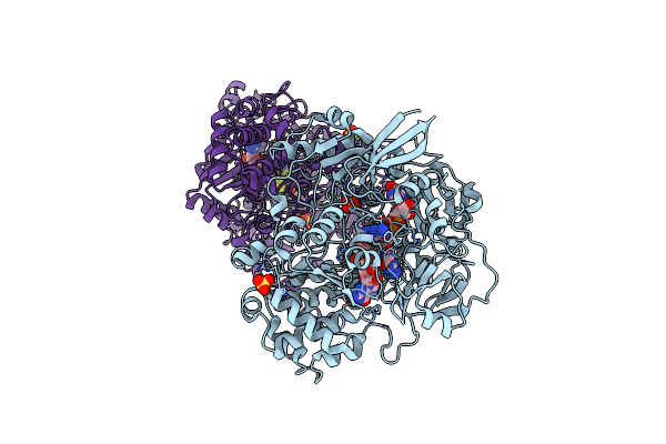 1E60 image