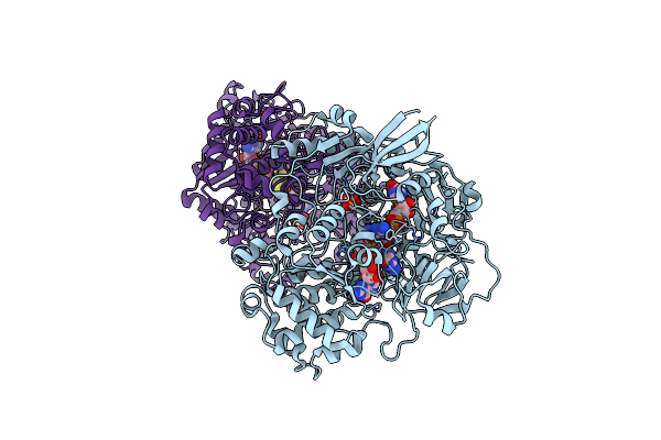 1E61 image