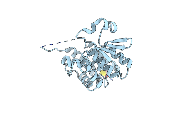 1E6B image