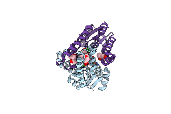 1E6C image