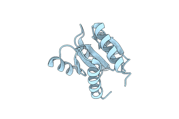 1E6L image