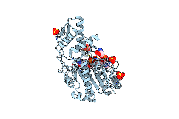 1E6U image