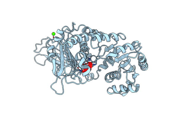 1E77 image