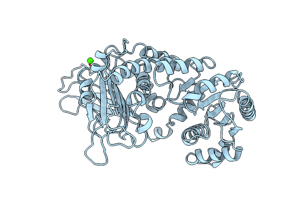 1E7M image