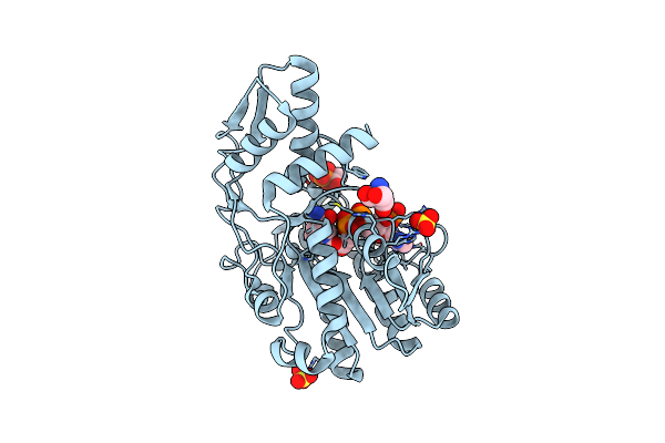 1E7R image