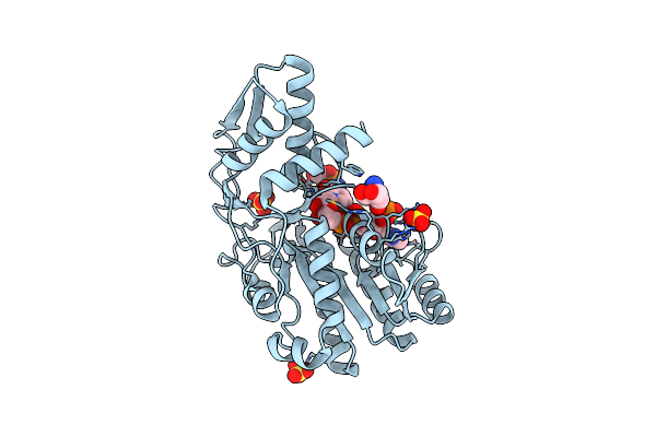 1E7S image