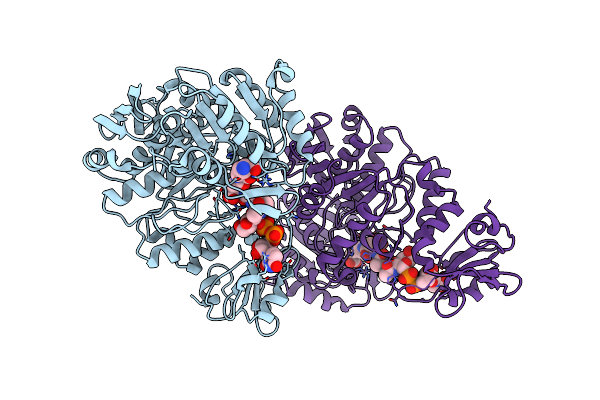 1E8C image