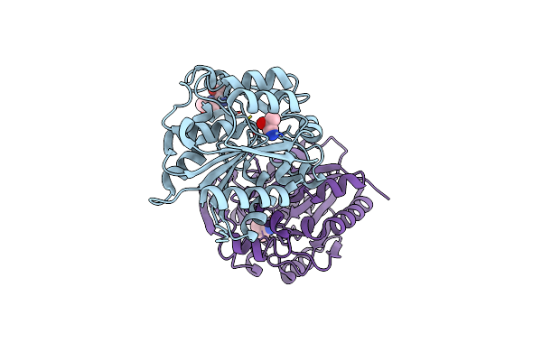 1E8D image