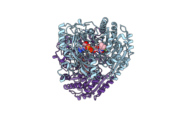 1E8G image