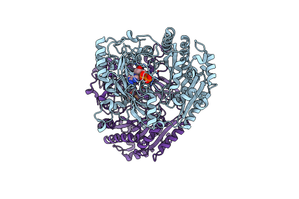 1E8H image
