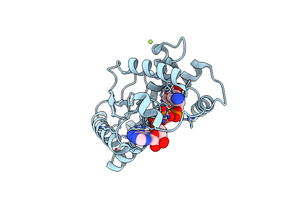1E9B image