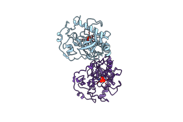 1E9G image