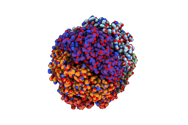 1E9R image
