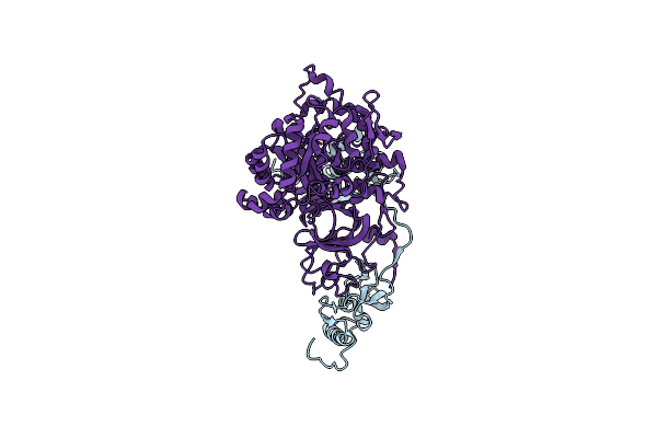 1E9Z image