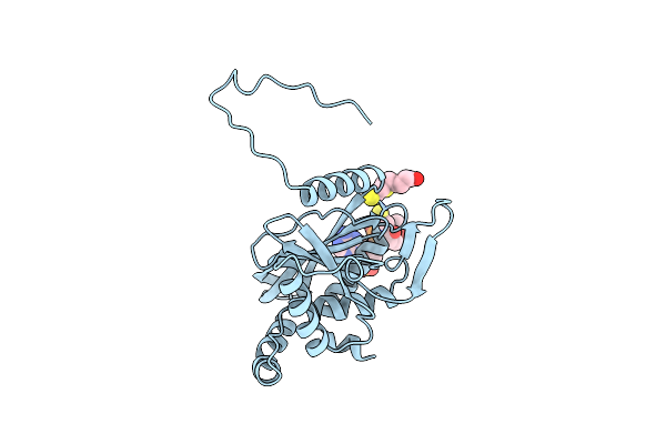 1EAB image