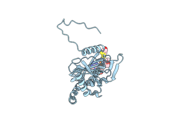 1EAC image