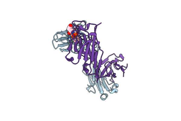 1EAP image