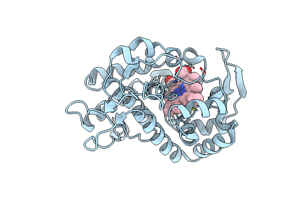 1EBE image