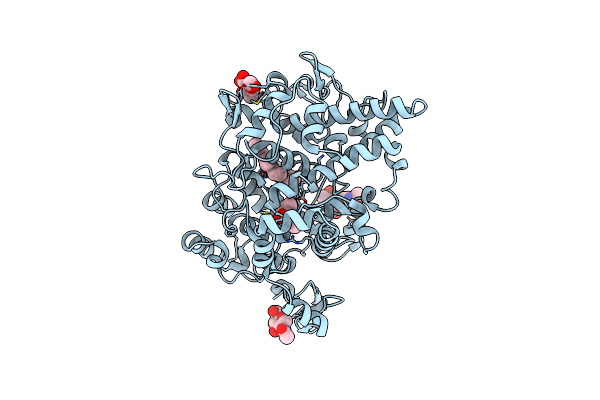 1EBV image