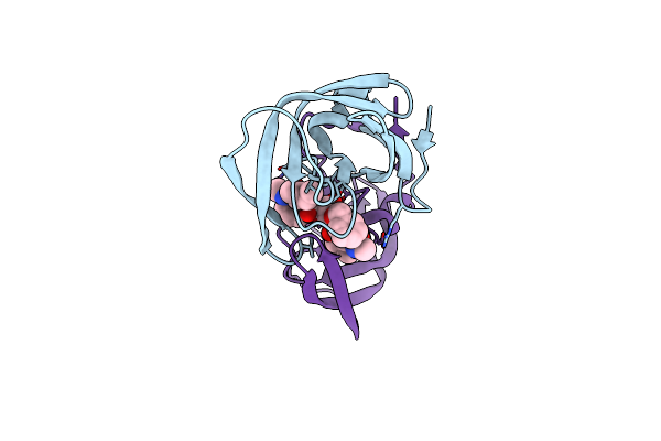 1EBW image