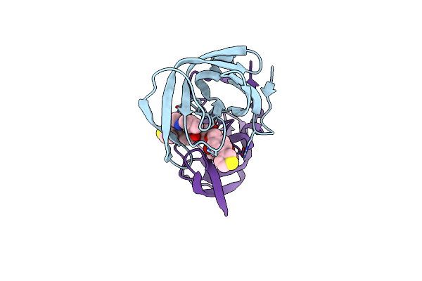 1EC1 image