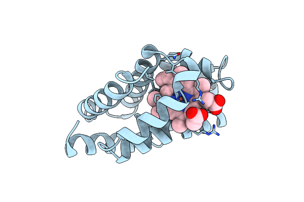 1ECD image