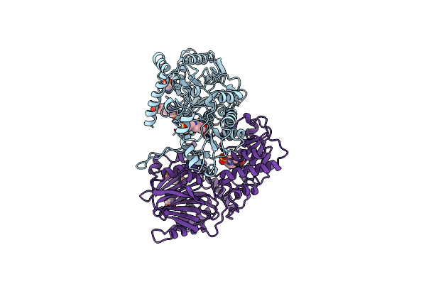 1ECF image