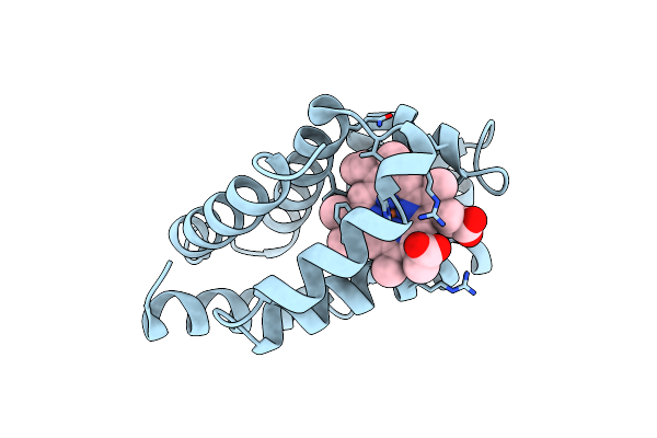 1ECN image