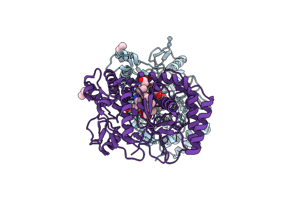 1ED6 image
