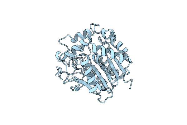 1EDB image