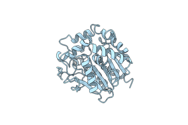 1EDD image