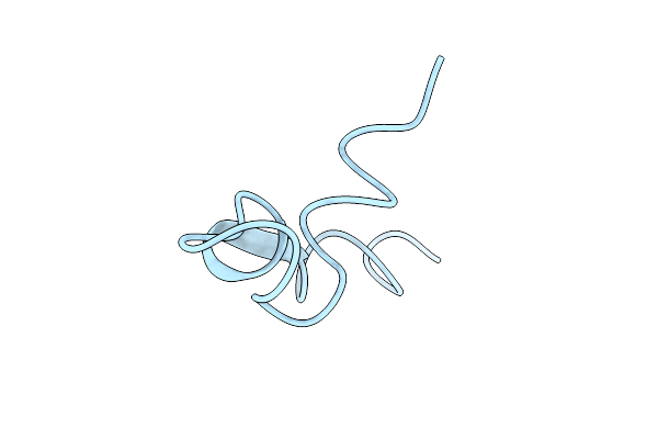 1EDV image