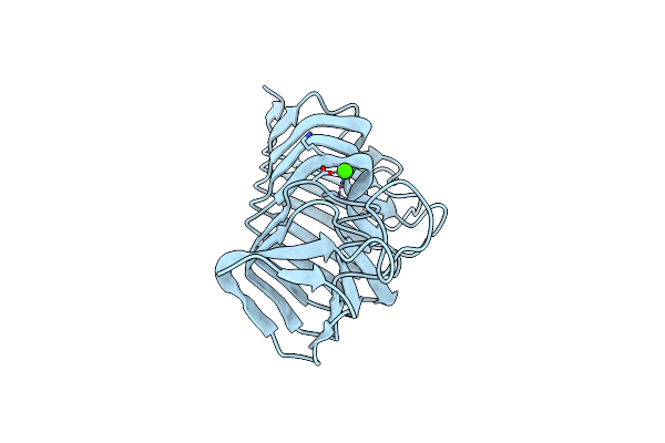 1EE6 image