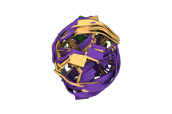 1EEG image